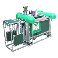 EID Sheep Automatic Drafting Crate without Stock Recorder