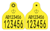 FOREIGN TAG - Scotland Cattle Replacement Secondary Combi 3000® Large