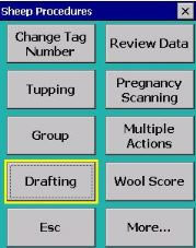 Sheep Procedures screen