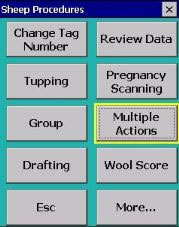 Sheep Procedures screen