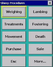 Sheep Procedures screen