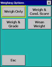 Weighing options screen