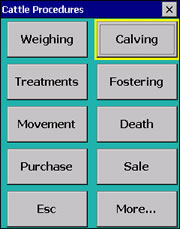 Cattle Procedures screen