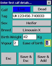 Calving details screen