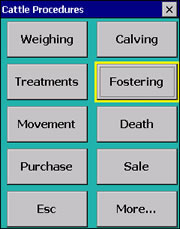 Cattle Procedures screen