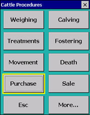 Cattle Procedures screen