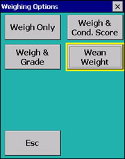 Weighing options screen