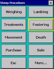 Foster Procedures screen