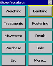 Sheep Procedures screen