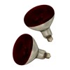 Picture of Infrared Heat Lamp Bulbs