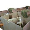 Picture of Lambing Pen Sides (Packs of 10)