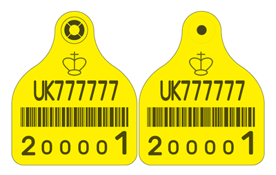 Picture of England and Wales Cattle New Run Primary Combi 3000® Large - with Barcode