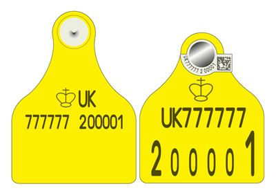 Picture of England and Wales Cattle New Run Secondary OS ID® BVD TST Flag Tag with management space