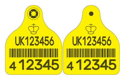 Picture of Scotland Replacement Cattle Secondary Combi 3000® Large - with Barcode