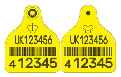 Picture of Scotland Cattle Replacement Primary Combi 3000® Large - with Barcode