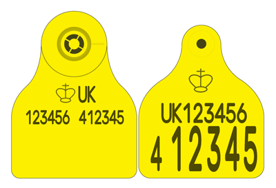 Picture of England and Wales Cattle Replacement Secondary E30 Flag - with management space (EID)