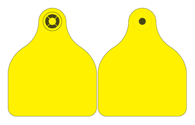 Picture of NI Cattle Combi 3000® Large | Blank Tag