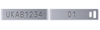 Scotland Pig New Run Ketchum No.3 Steel | Layout 2