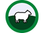 Image icon for Sheep category