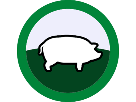 Picture for category Pigs