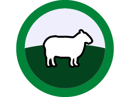 Picture for category Sheep