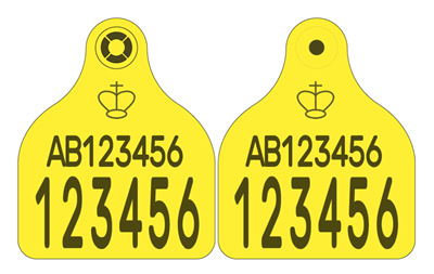 Picture of FOREIGN TAG - England and Wales Cattle Replacement Primary Combi 3000® Large