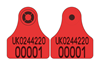 England and Wales Sheep Replacement Visual Combi 3000® Mini | Layout 1