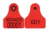 Scotland Sheep Replacement Visual Combi 3000® Mini | Layout 3