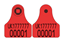 Picture of Northern Ireland Sheep Replacement Visual Combi 3000® Mini | Layout 1