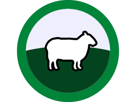 Picture for category Sheep