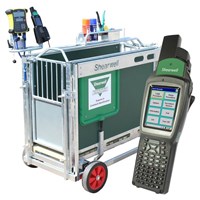 EID Sheep Weigh Crate (with EID reader and Stock Recorder)