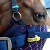 Picture of Personalised Key Rings & Tags