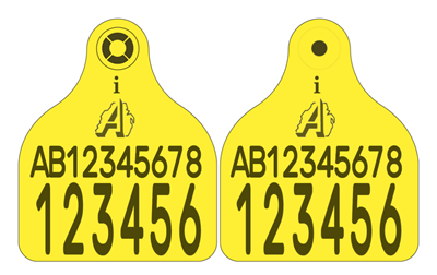 Picture of FOREIGN TAG - Northern Ireland Cattle Replacement Secondary Combi 3000® Large