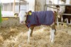 Picture of ThermoPlus Calf Jacket / Coat