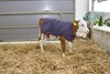 Picture of ThermoPlus Calf Jacket / Coat