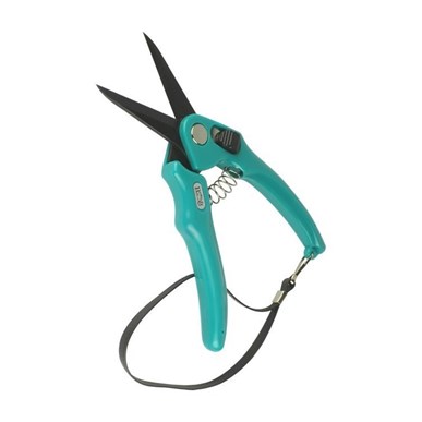 Picture of Supersharp Lightweight Footrot Shears