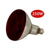 Picture of Infrared Heat Lamp Bulbs