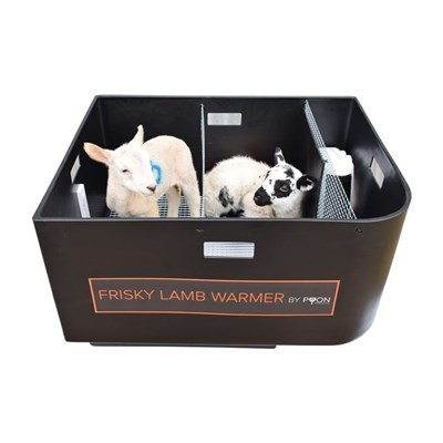 Picture of Frisky Lamb Warmer