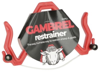 Picture of Sheep Restrainer