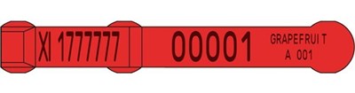 Picture of Northern Ireland Sheep Replacement Visual SET Tag | Layout 2