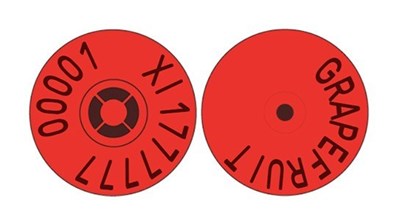 Picture of Northern Ireland Sheep Replacement Visual Combi 3000® Button | Layout 5