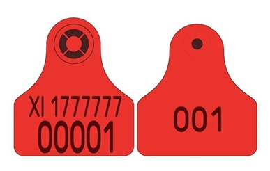 Picture of Northern Ireland Sheep Replacement Visual Combi 3000® Mini | Layout 3