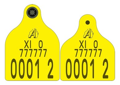Picture of Northern Ireland Cattle New Run Primary Combi 3000® Large