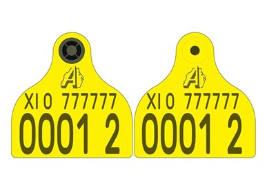 Picture of Northern Ireland Cattle New Run Primary Combi 3000® Medium