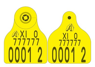 Picture of Northern Ireland Cattle New Run Secondary E30 Flag (EID)