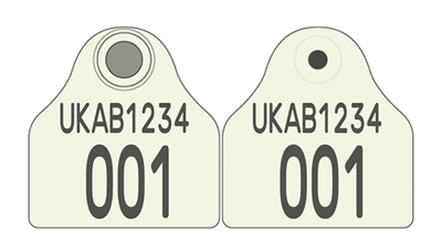 Picture of England and Wales Pig Combi 2000® Flag | Layout 6