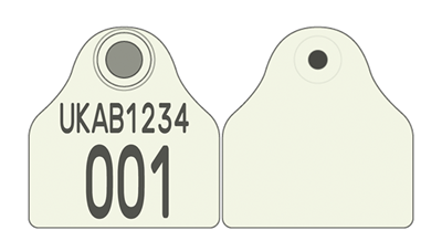 Picture of England and Wales Pig Combi 2000® Flag | Layout 5