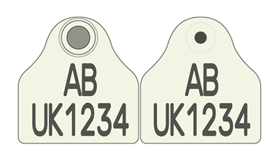 Picture of England and Wales Pig Combi 2000® Flag | Layout 3