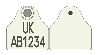 Picture of England and Wales Pig Combi 2000® Flag | Layout 2