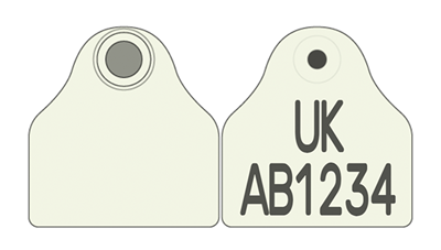Picture of England and Wales Pig Combi 2000® Flag | Layout 1